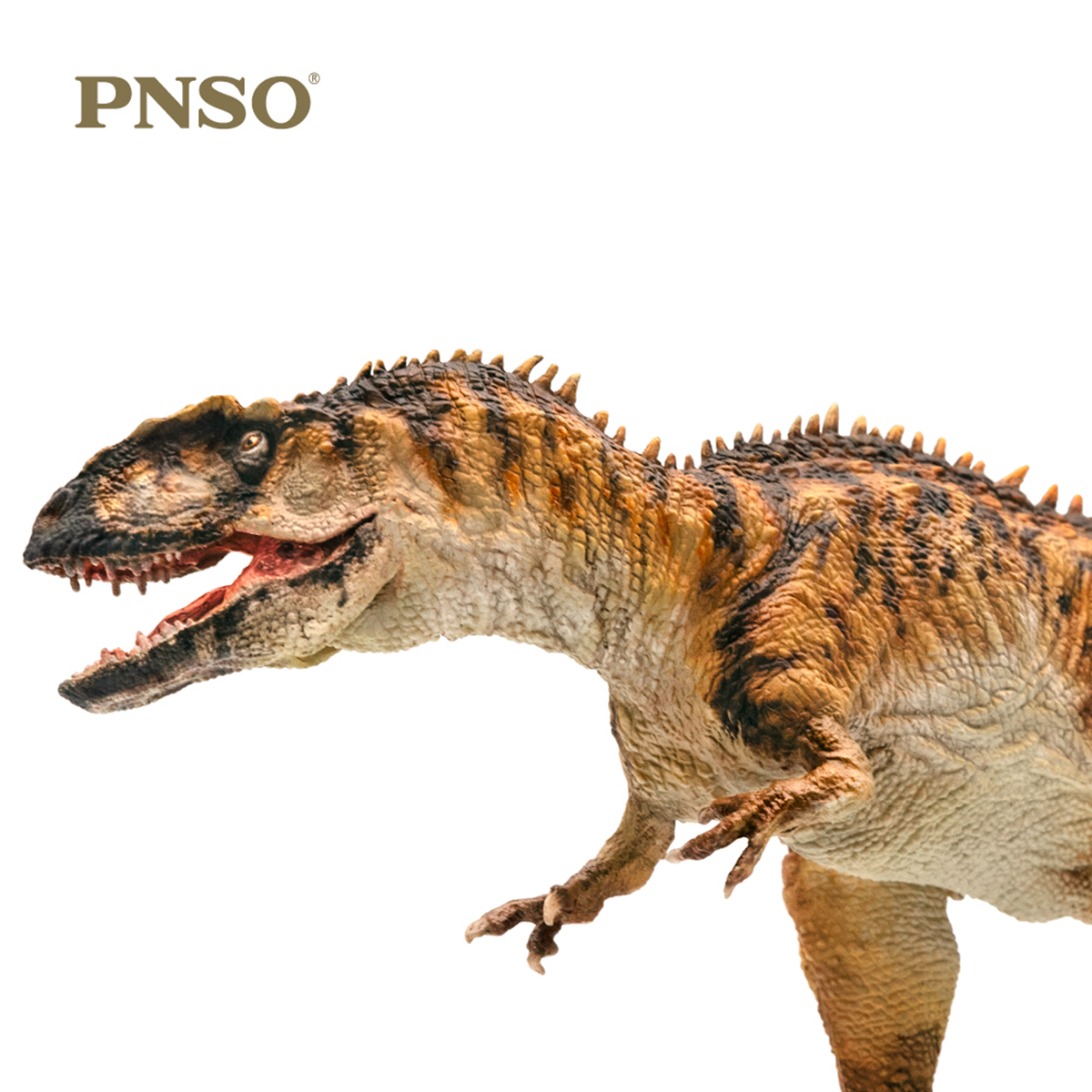 PNSO 1/35 Yangchuanosaurus VS Chungkingosaurus Dinosaur Figure Animal Adult Kids Collection Toys Gift Home Decor With Base