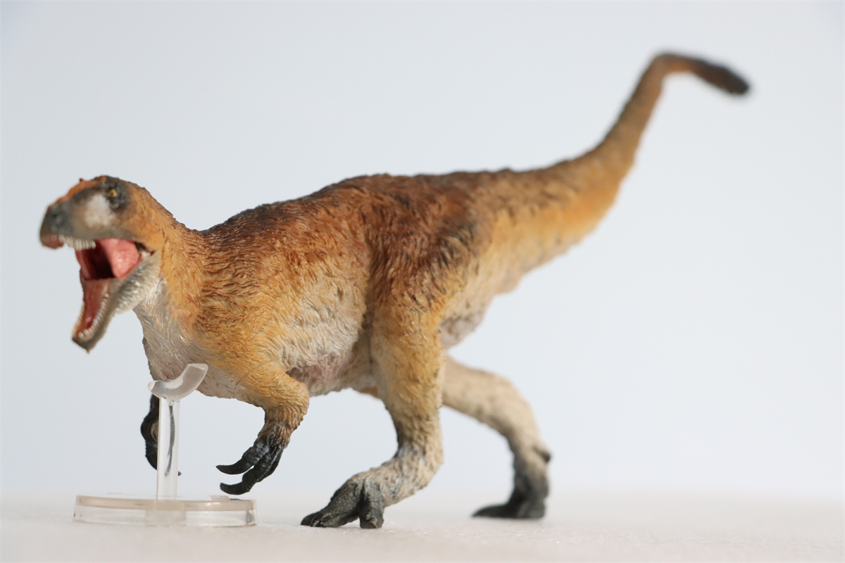 IN STOCK! PNSO Yutyrannus Yinqi Figure Dinosaur Model Proceratosaurus Prehistoric Animal Collector Decoration Adult Toy Gift