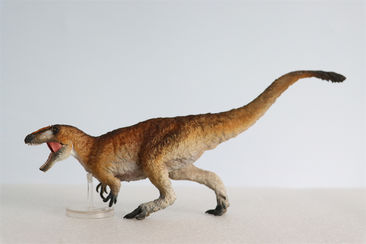 IN STOCK! PNSO Yutyrannus Yinqi Figure Dinosaur Model Proceratosaurus Prehistoric Animal Collector Decoration Adult Toy Gift