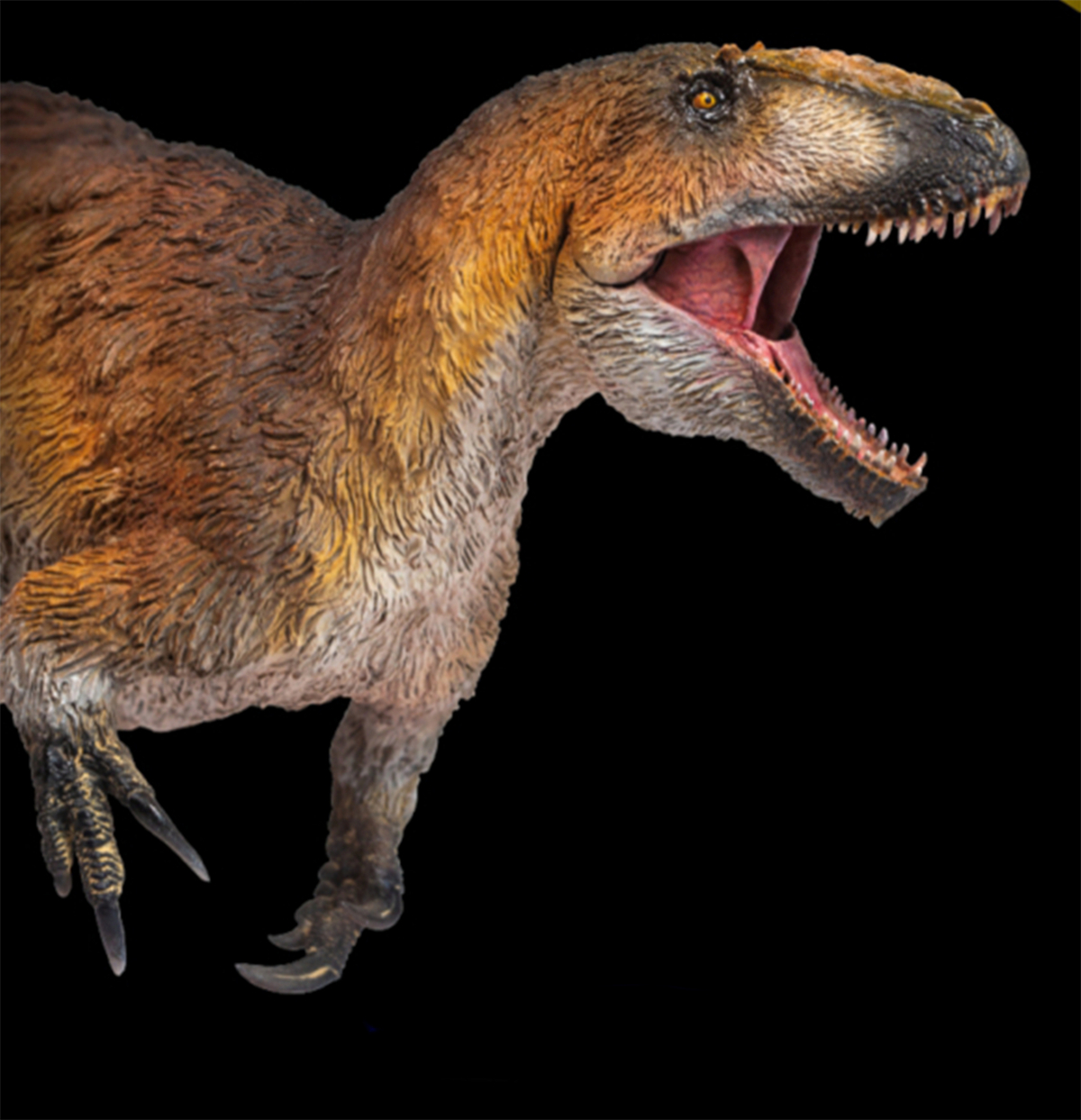 IN STOCK! PNSO Yutyrannus Yinqi Figure Dinosaur Model Proceratosaurus Prehistoric Animal Collector Decoration Adult Toy Gift