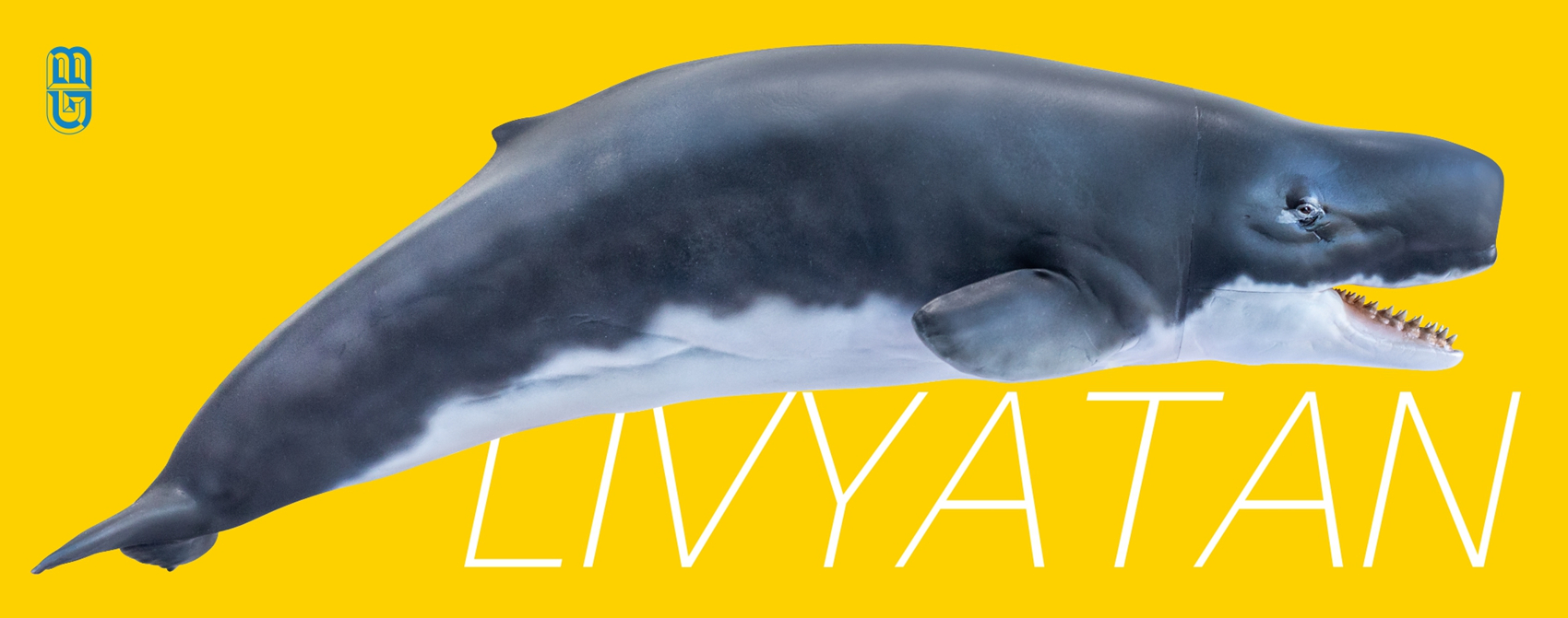 PNSO Prehistoric Dinosaur Model 56 Requena The Livyatan Model Collector Science Education Sperm Whale Animal Toys PNSO Prehistoric Dinosaur Model 56 Requena The Livyatan Model Collector Science Education Sperm Whale Animal Toys