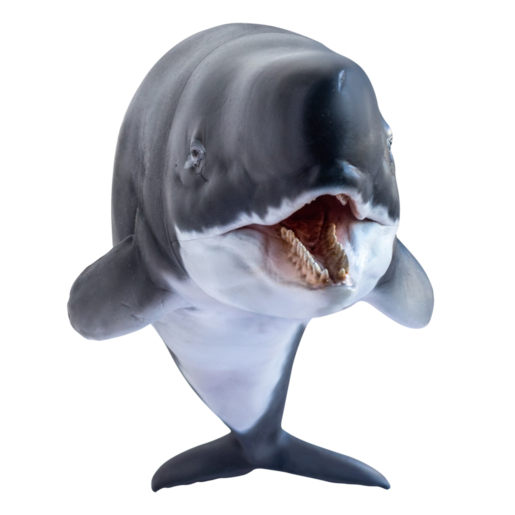 PNSO Prehistoric Dinosaur Model 56 Requena The Livyatan Model Collector Science Education Sperm Whale Animal Toys PNSO Prehistoric Dinosaur Model 56 Requena The Livyatan Model Collector Science Education Sperm Whale Animal Toys