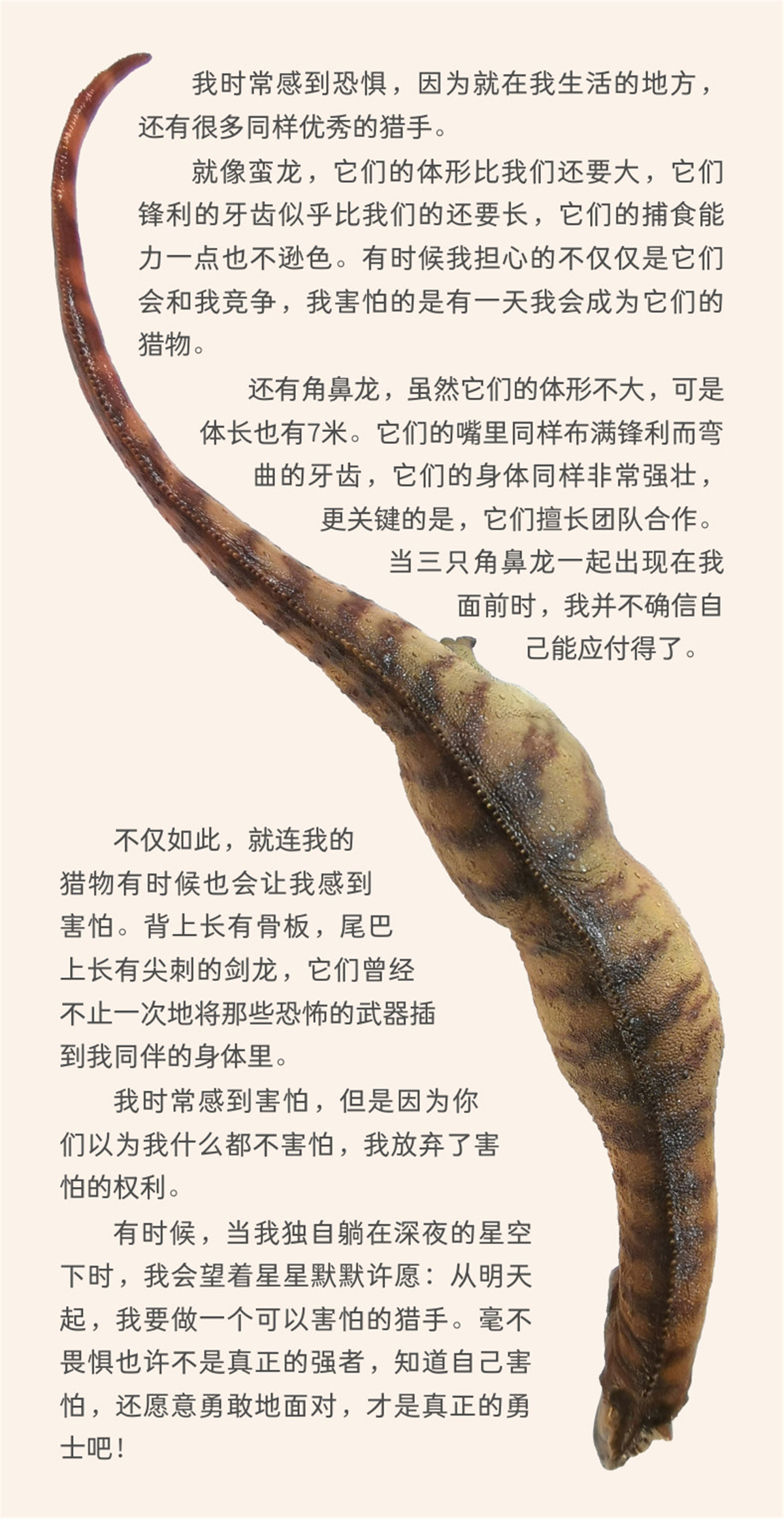 IN STOCK! PNSO Allosaurus Paul Figure Allosauridae Dinosaur Model Collector Animal Adult Toy Gift IN STOCK! PNSO Allosaurus Paul Figure Allosauridae Dinosaur Model Collector Animal Adult Toy Gift