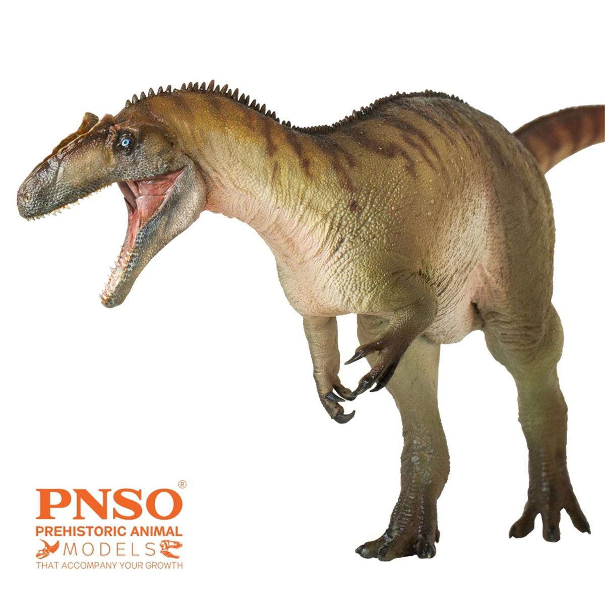 IN STOCK! PNSO Allosaurus Paul Figure Allosauridae Dinosaur Model Collector Animal Adult Toy Gift IN STOCK! PNSO Allosaurus Paul Figure Allosauridae Dinosaur Model Collector Animal Adult Toy Gift