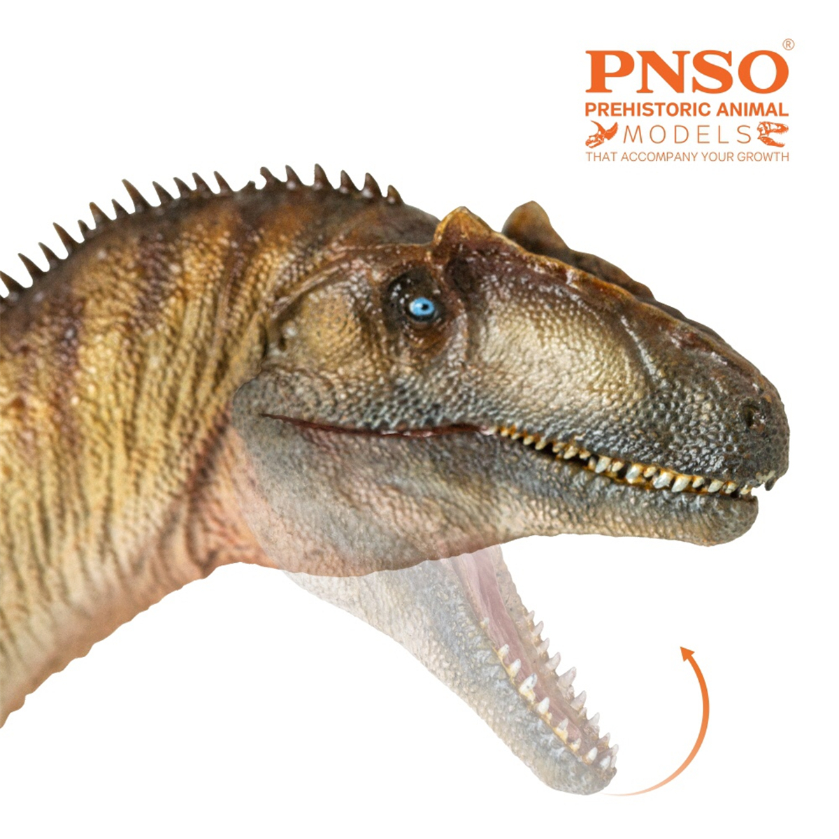 IN STOCK! PNSO Allosaurus Paul Figure Allosauridae Dinosaur Model Collector Animal Adult Toy Gift IN STOCK! PNSO Allosaurus Paul Figure Allosauridae Dinosaur Model Collector Animal Adult Toy Gift