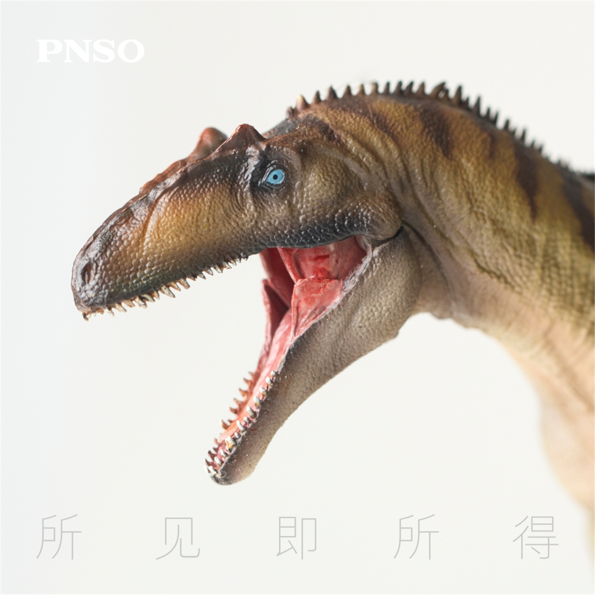 IN STOCK! PNSO Allosaurus Paul Figure Allosauridae Dinosaur Model Collector Animal Adult Toy Gift IN STOCK! PNSO Allosaurus Paul Figure Allosauridae Dinosaur Model Collector Animal Adult Toy Gift