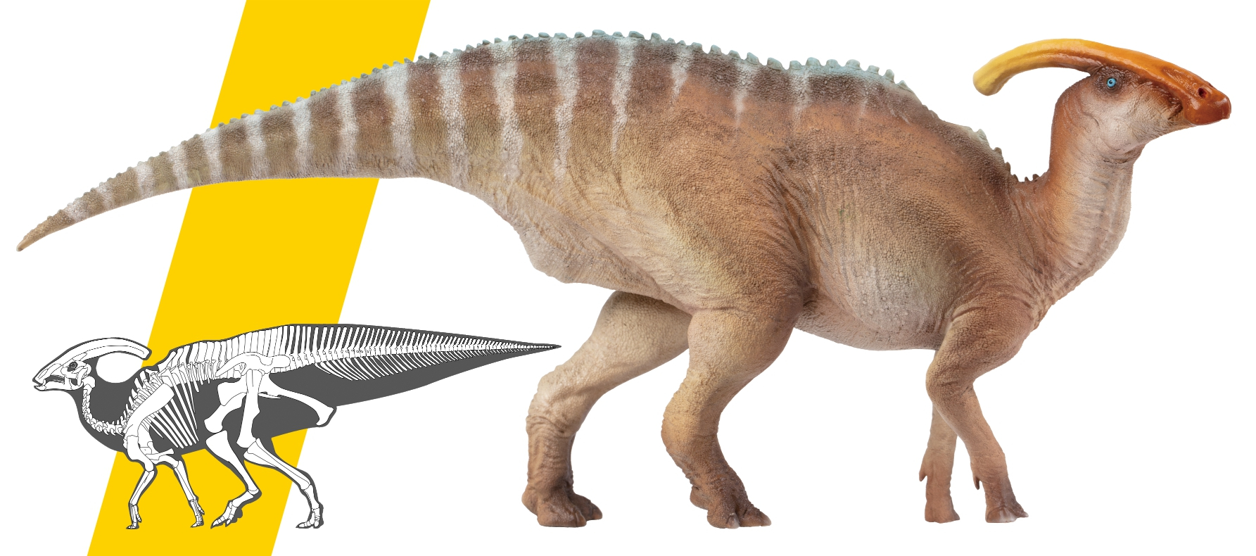 PNSO 2021 Parasaurolophus Wyatt Hadrosauridae Dinosaur Figure Model Collector Animal Adults Kids Toys Christmas Birthday Gift