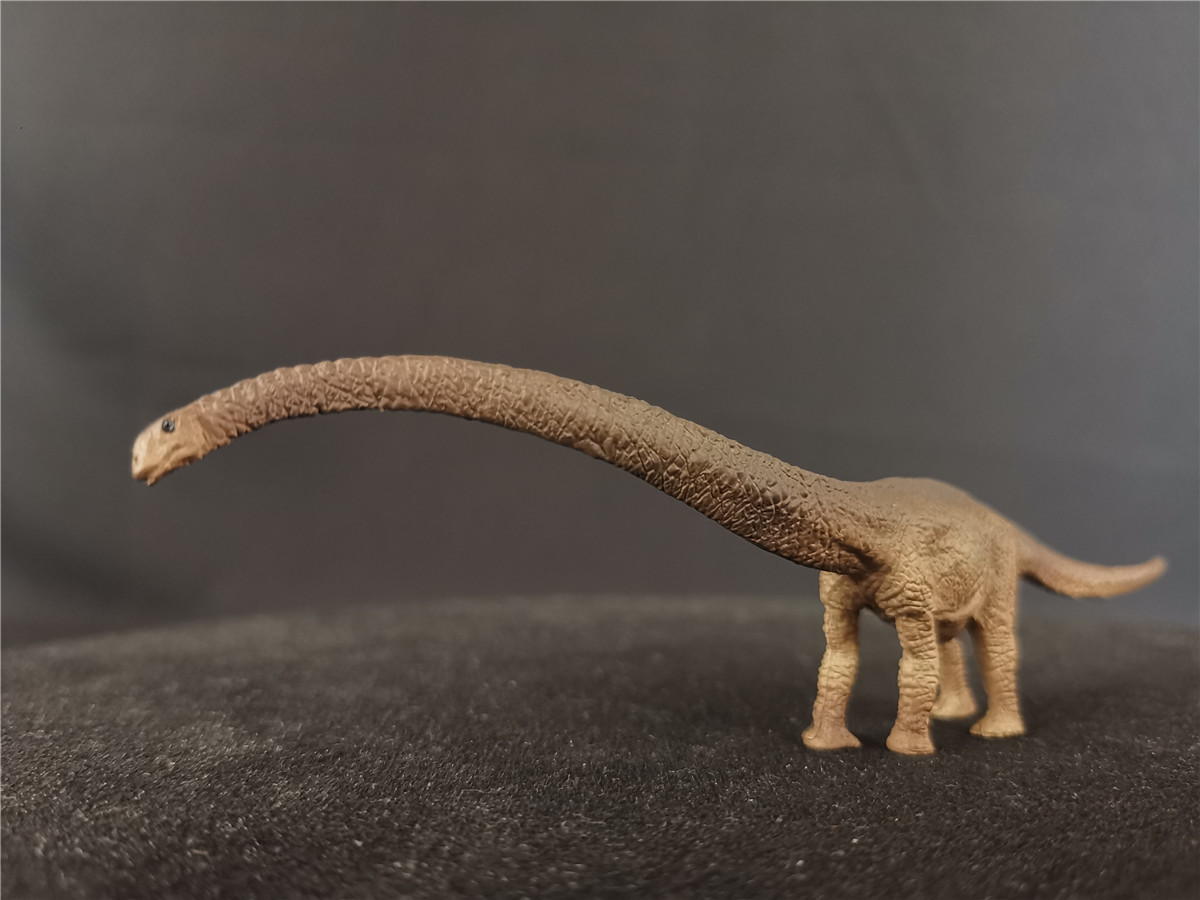 PNSO Yangchuanosaurus Mamenchisaurus Gigantoraptor Tsintaosauras Huayangosaurus Dinosaur Figure Collector Animal Science ToyGift