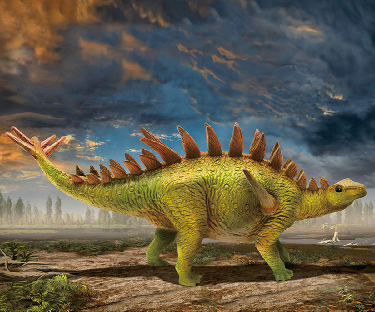 PNSO Yangchuanosaurus Mamenchisaurus Gigantoraptor Tsintaosauras Huayangosaurus Dinosaur Figure Collector Animal Science ToyGift