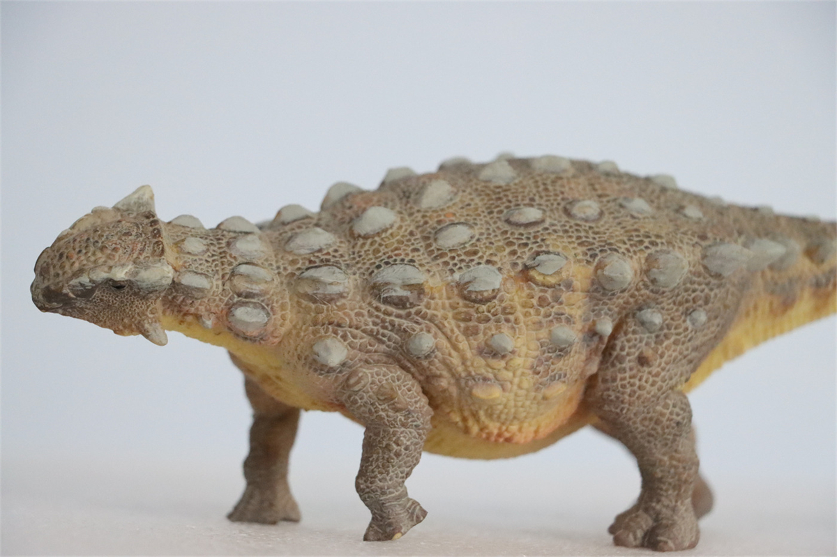 PNSO Ankylosaurus Model Figure Jurassic Ankylosaur Dinosaur Adult Kids Collection Education Toys Gift Home Decor