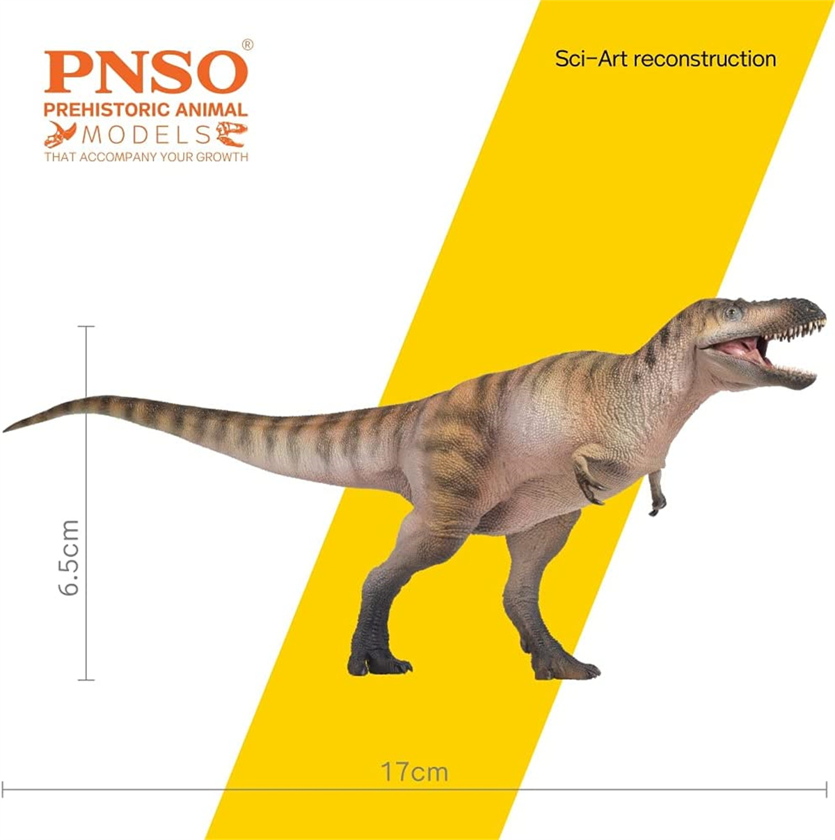 PNSO Nanotyrannus Logan Model Tyrannosaurs Dinosaur Animal Collector Adult Kids Triceratops Education Toy Gift