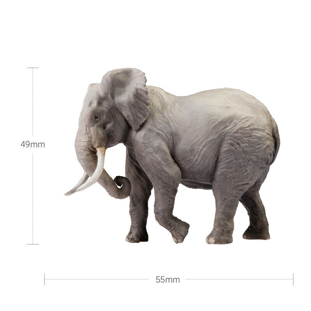 PNSO Africa Animal Figure Lion Cheetah Thomson's Gazelle Wildebeest Zebra Giraffe Elephant Warthog Hippopotamus Chameleon Toy