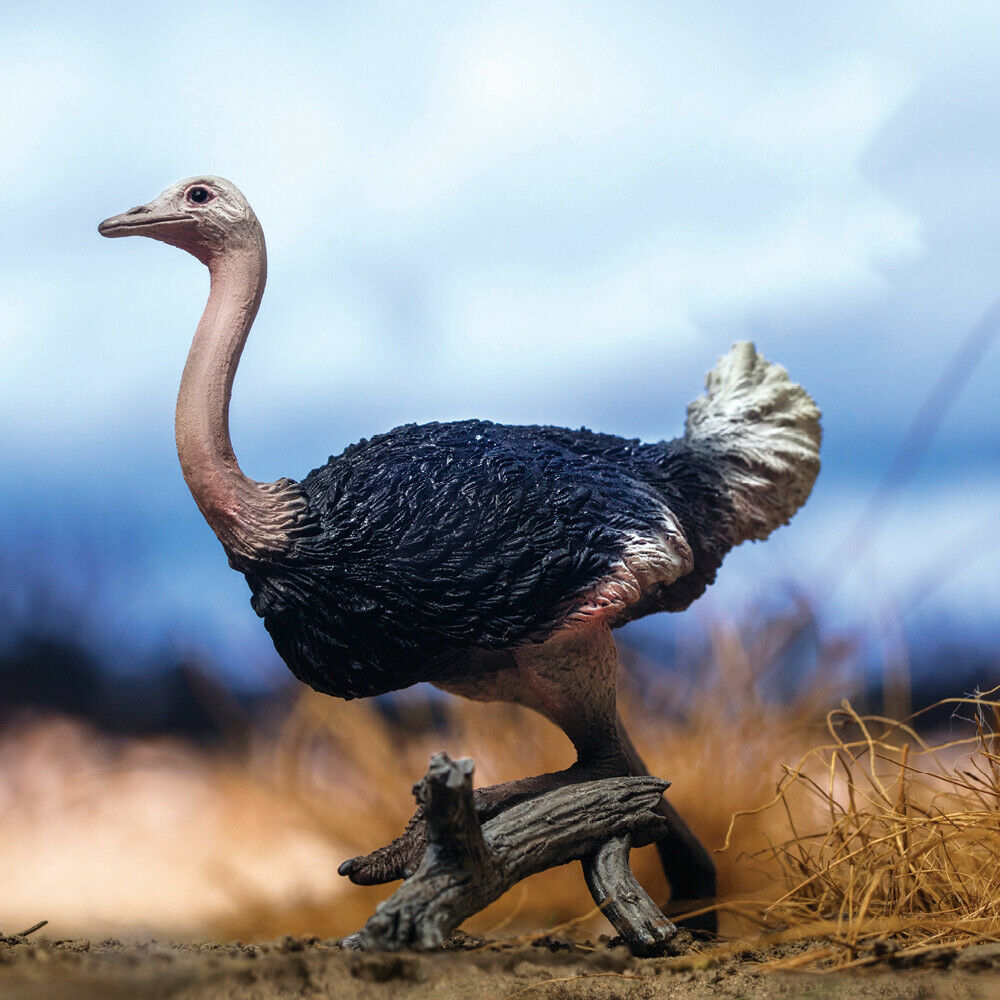 PNSO Africa Animal Figure Lion Cheetah Thomson's Gazelle Wildebeest Zebra Giraffe Elephant Warthog Hippopotamus Chameleon Toy