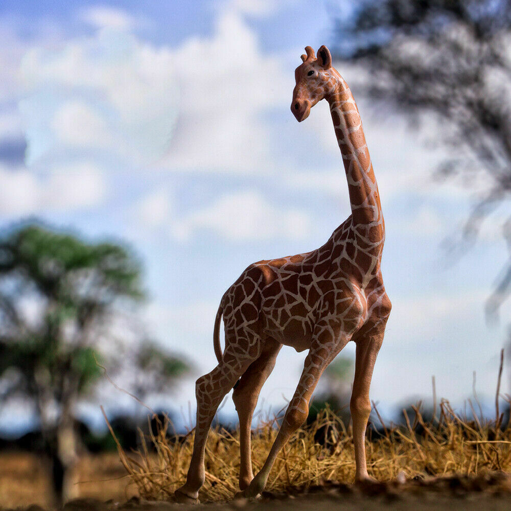 PNSO Africa Animal Figure Lion Cheetah Thomson's Gazelle Wildebeest Zebra Giraffe Elephant Warthog Hippopotamus Chameleon Toy