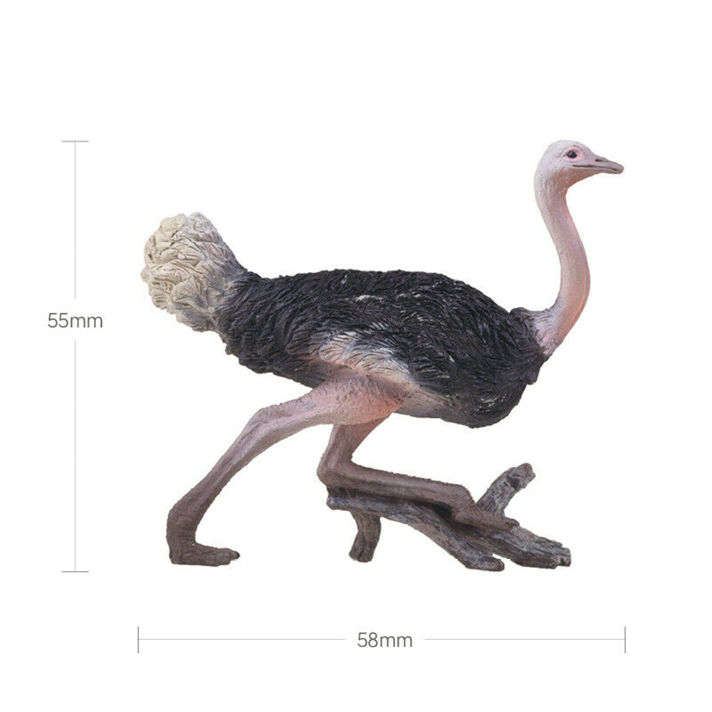 PNSO Africa Animal Figure Lion Cheetah Thomson's Gazelle Wildebeest Zebra Giraffe Elephant Warthog Hippopotamus Chameleon Toy