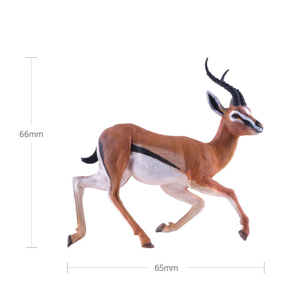PNSO Africa Animal Figure Lion Cheetah Thomson's Gazelle Wildebeest Zebra Giraffe Elephant Warthog Hippopotamus Chameleon Toy