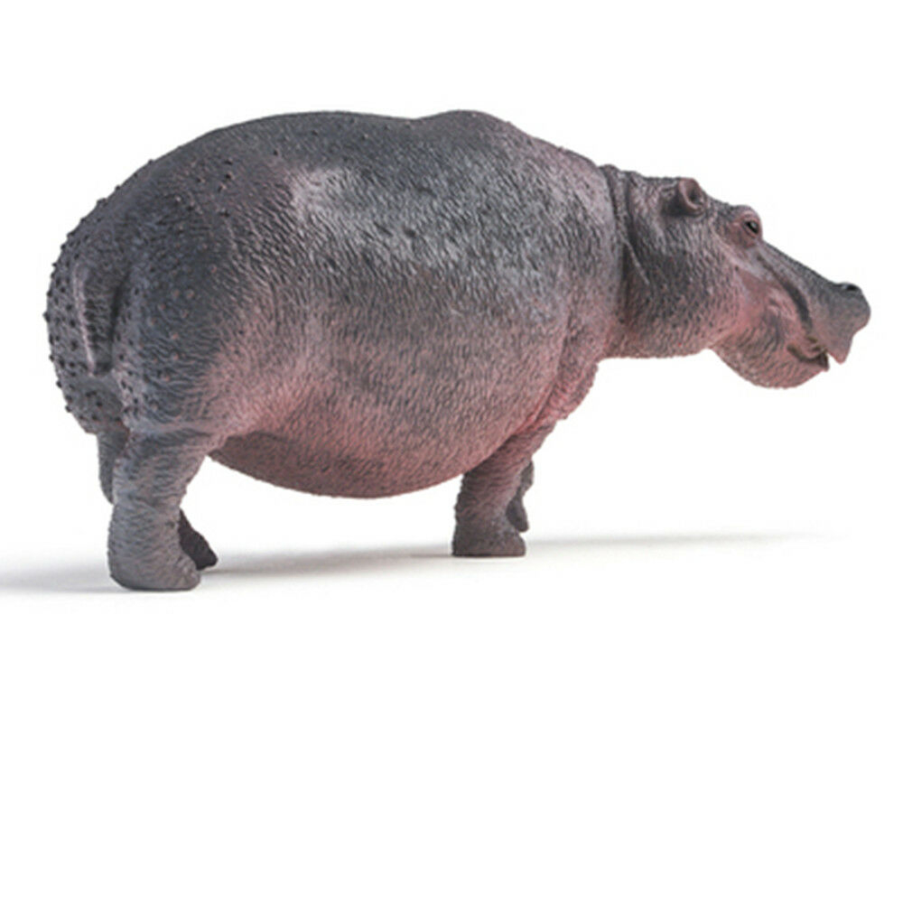 PNSO Pet Animal Hippo Hippopotamus Fennec Fox Rhinoceros White Bear Elephant Figure Model Decoration Collector Toy