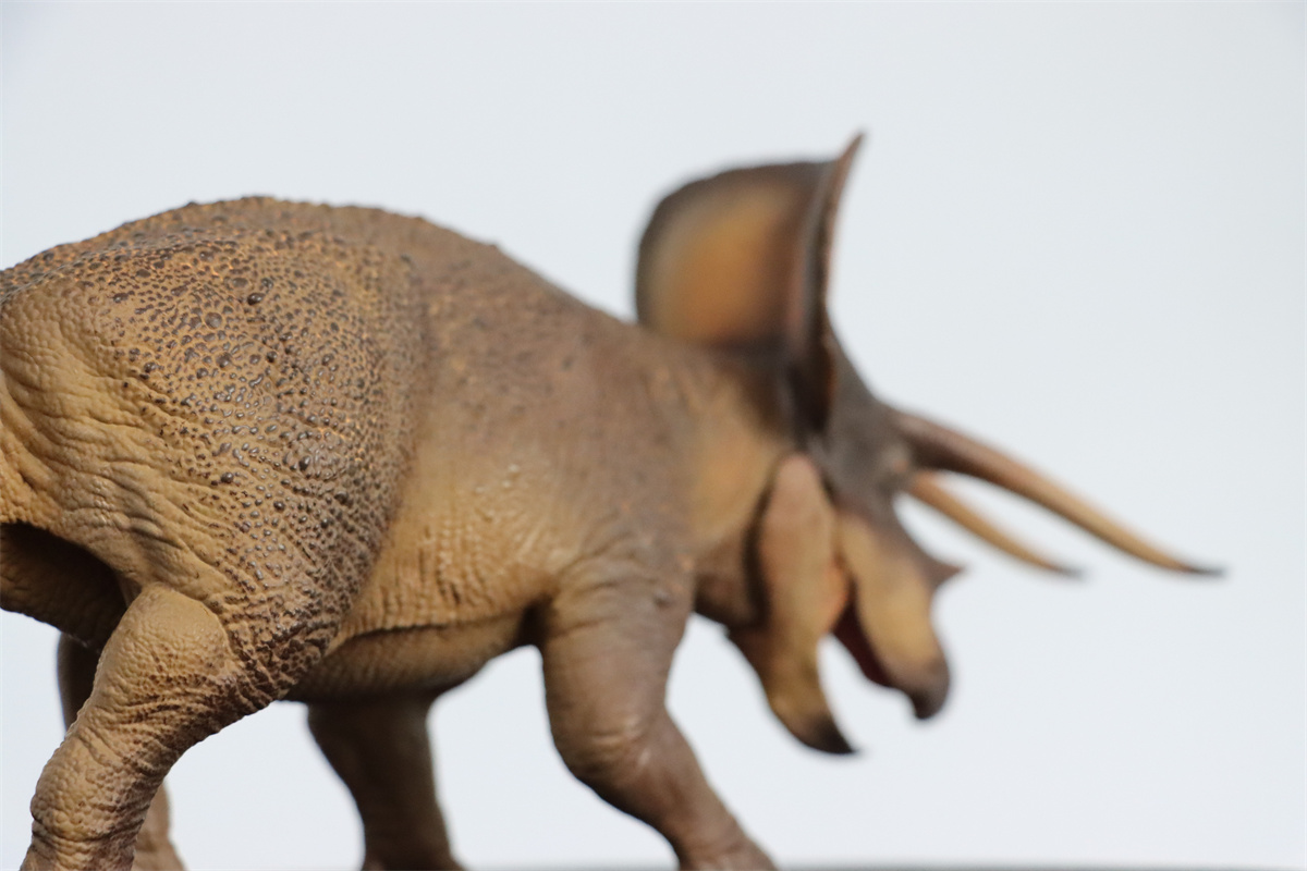 PNSO 1/35 New Triceratops Doyle Model Dinosaur Museums Series Animal Art Decor Collector Adult Kids Toy Christmas Birthday Gift PNSO 1/35 New Triceratops Doyle Model Dinosaur Museums Series Animal Art Decor Collector Adult Kids Toy Christmas Birthday Gift