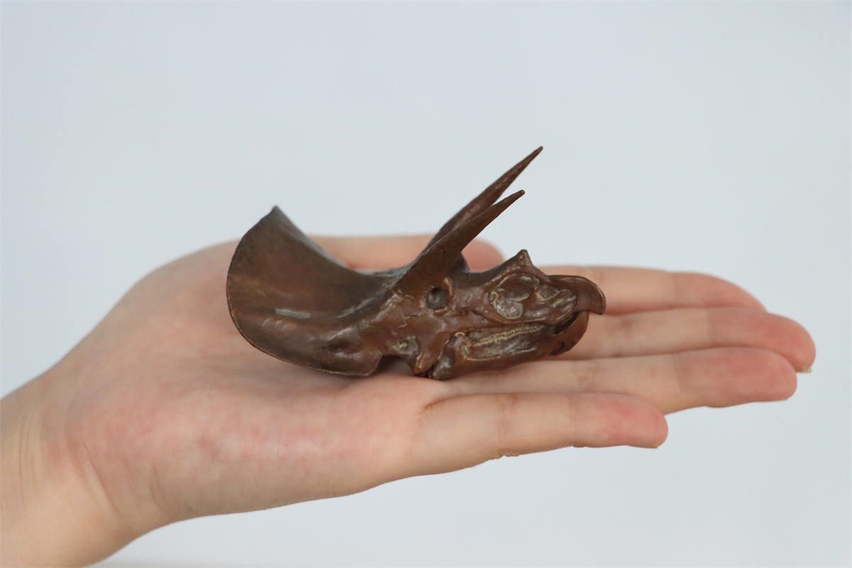 PNSO 1/35 New Triceratops Doyle Model Dinosaur Museums Series Animal Art Decor Collector Adult Kids Toy Christmas Birthday Gift PNSO 1/35 New Triceratops Doyle Model Dinosaur Museums Series Animal Art Decor Collector Adult Kids Toy Christmas Birthday Gift