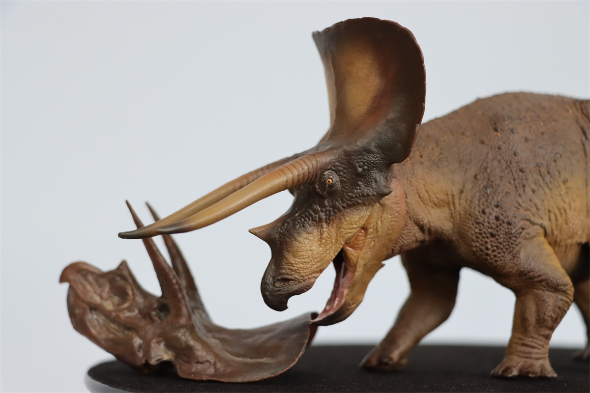 PNSO 1/35 New Triceratops Doyle Model Dinosaur Museums Series Animal Art Decor Collector Adult Kids Toy Christmas Birthday Gift PNSO 1/35 New Triceratops Doyle Model Dinosaur Museums Series Animal Art Decor Collector Adult Kids Toy Christmas Birthday Gift