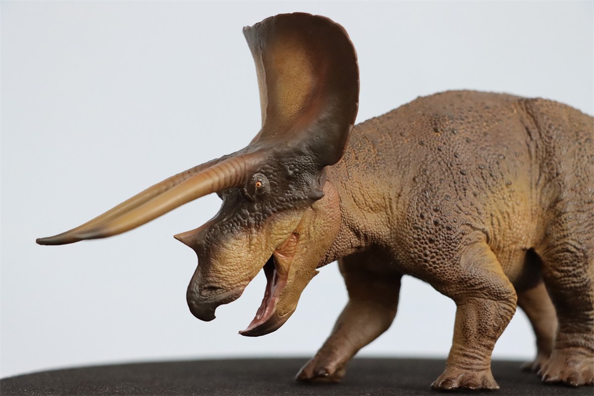 PNSO 1/35 New Triceratops Doyle Model Dinosaur Museums Series Animal Art Decor Collector Adult Kids Toy Christmas Birthday Gift PNSO 1/35 New Triceratops Doyle Model Dinosaur Museums Series Animal Art Decor Collector Adult Kids Toy Christmas Birthday Gift