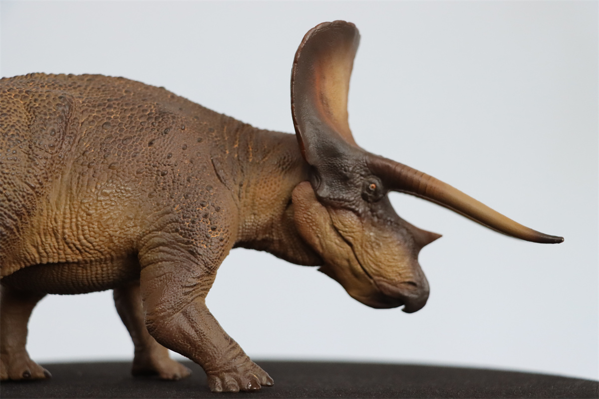 PNSO 1/35 New Triceratops Doyle Model Dinosaur Museums Series Animal Art Decor Collector Adult Kids Toy Christmas Birthday Gift PNSO 1/35 New Triceratops Doyle Model Dinosaur Museums Series Animal Art Decor Collector Adult Kids Toy Christmas Birthday Gift