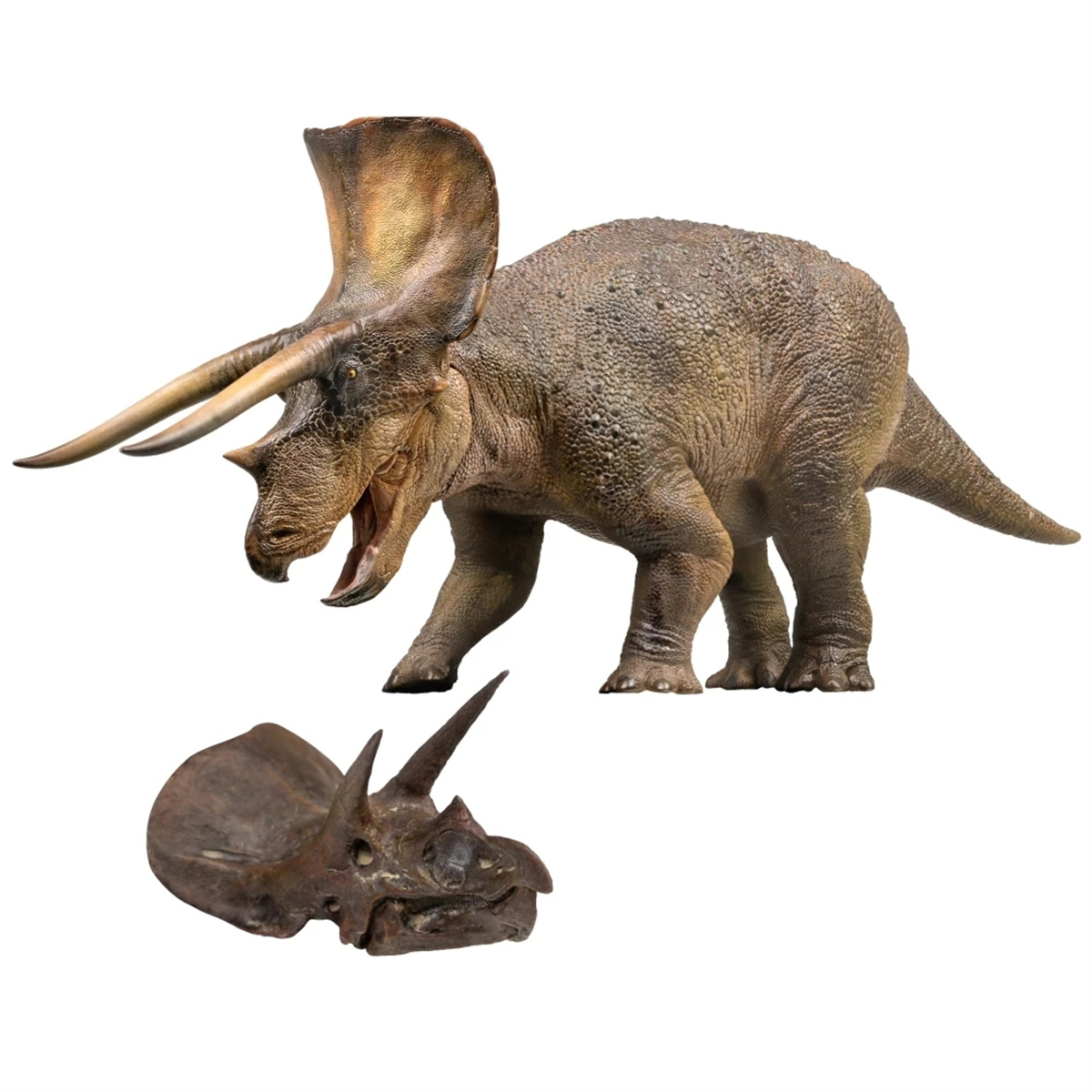 PNSO 1/35 New Triceratops Doyle Model Dinosaur Museums Series Animal Art Decor Collector Adult Kids Toy Christmas Birthday Gift PNSO 1/35 New Triceratops Doyle Model Dinosaur Museums Series Animal Art Decor Collector Adult Kids Toy Christmas Birthday Gift