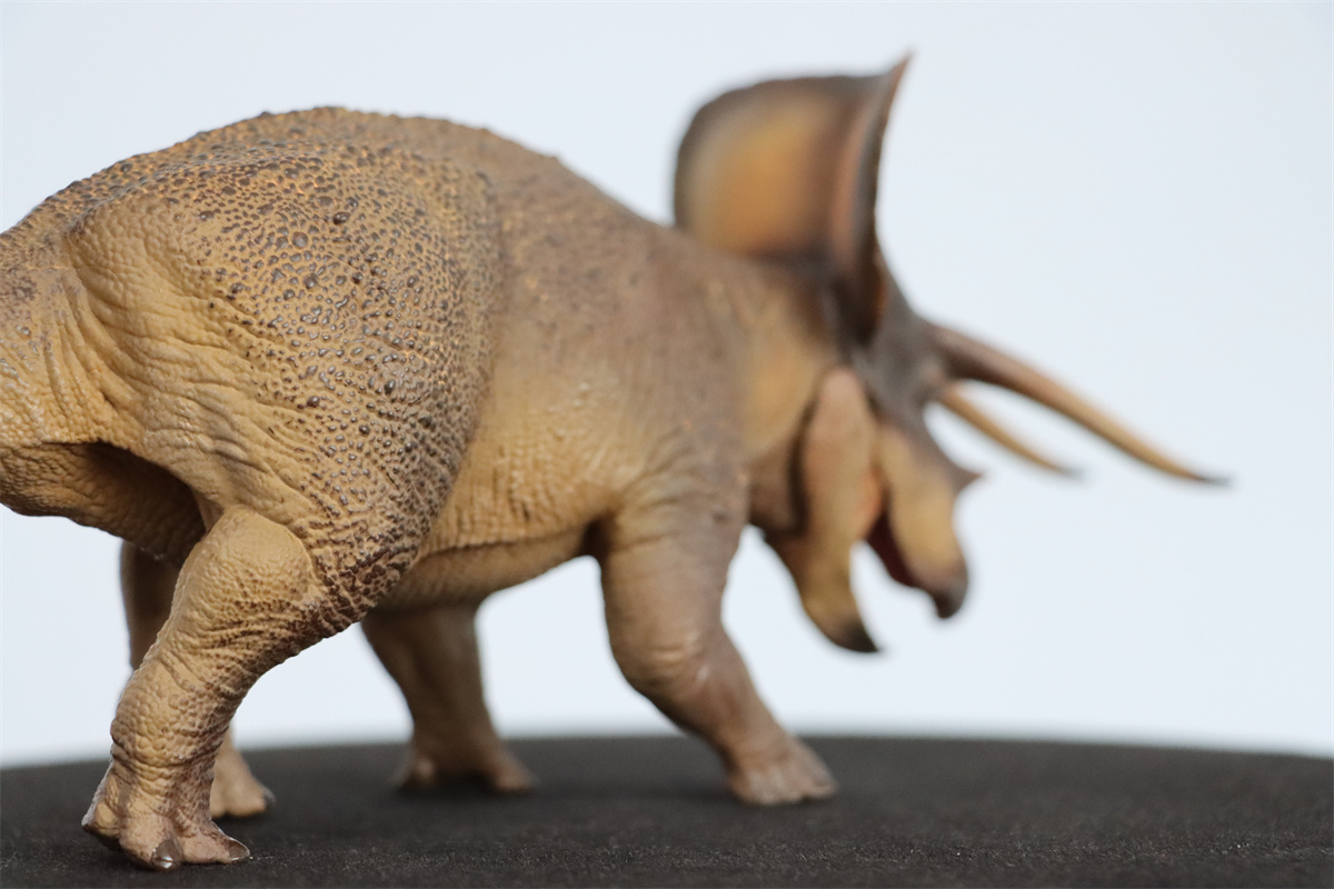 PNSO 1/35 New Triceratops Doyle Model Dinosaur Museums Series Animal Art Decor Collector Adult Kids Toy Christmas Birthday Gift PNSO 1/35 New Triceratops Doyle Model Dinosaur Museums Series Animal Art Decor Collector Adult Kids Toy Christmas Birthday Gift