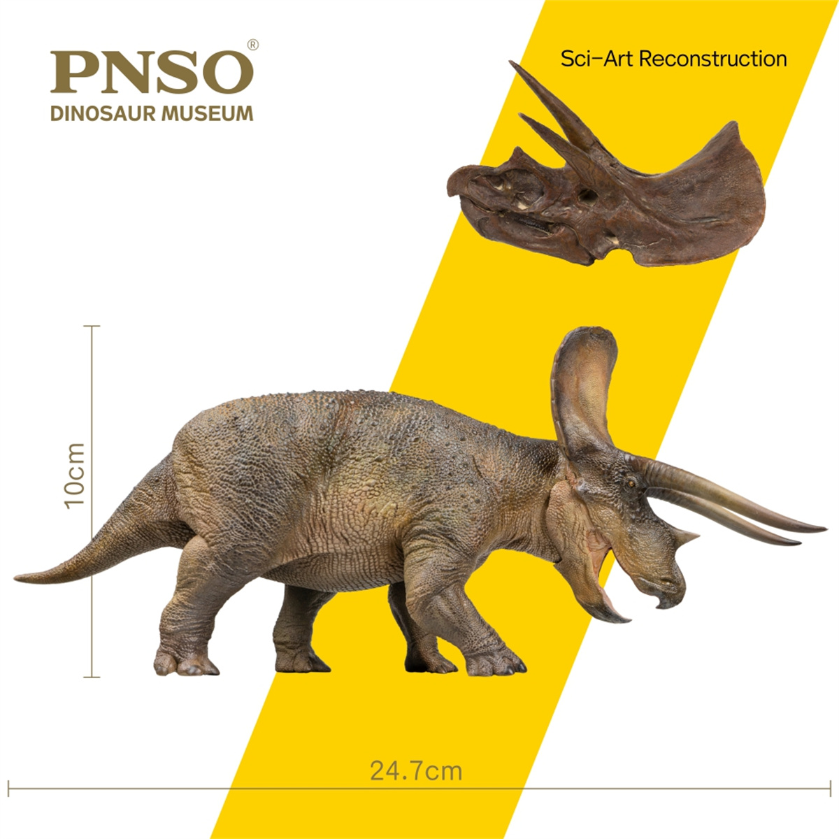 PNSO 1/35 New Triceratops Doyle Model Dinosaur Museums Series Animal Art Decor Collector Adult Kids Toy Christmas Birthday Gift PNSO 1/35 New Triceratops Doyle Model Dinosaur Museums Series Animal Art Decor Collector Adult Kids Toy Christmas Birthday Gift