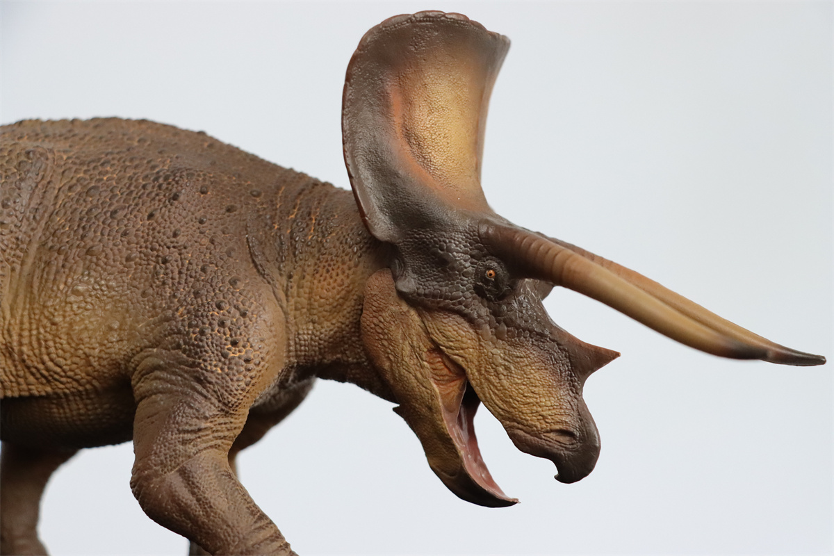 PNSO 1/35 New Triceratops Doyle Model Dinosaur Museums Series Animal Art Decor Collector Adult Kids Toy Christmas Birthday Gift PNSO 1/35 New Triceratops Doyle Model Dinosaur Museums Series Animal Art Decor Collector Adult Kids Toy Christmas Birthday Gift