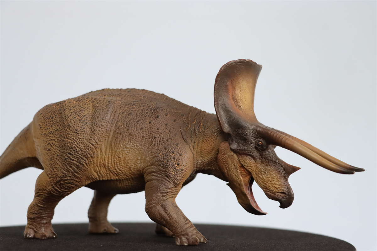 PNSO 1/35 New Triceratops Doyle Model Dinosaur Museums Series Animal Art Decor Collector Adult Kids Toy Christmas Birthday Gift PNSO 1/35 New Triceratops Doyle Model Dinosaur Museums Series Animal Art Decor Collector Adult Kids Toy Christmas Birthday Gift