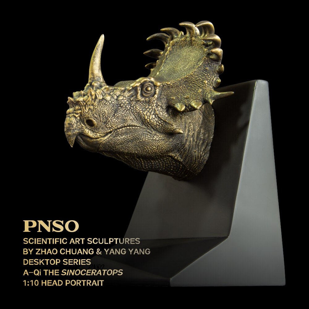 PNSO Scientific Art Sculptures A-Qi The SINOCERATOPS 1:10 Head Portrait by Zhao Chuang & YANG YANG Desktop Series Decor Gifts PNSO Scientific Art Sculptures A-Qi The SINOCERATOPS 1:10 Head Portrait by Zhao Chuang & YANG YANG Desktop Series Decor Gifts