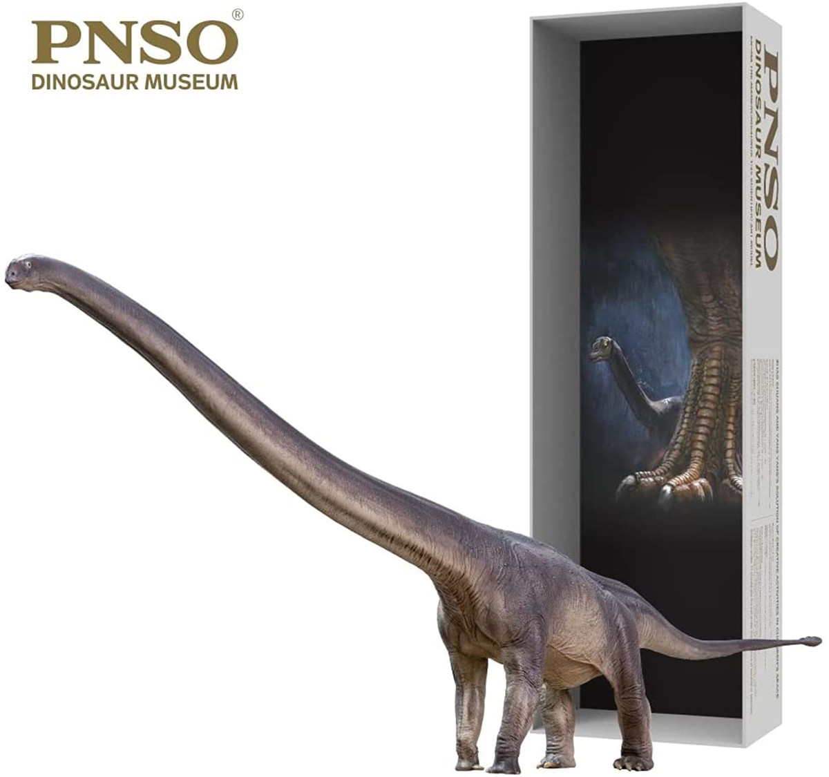 PNSO New ER-MA The Mamenchisaurus Dinosaur Museums Series 1:45 Scientific Art Models Collector Science Education Dinosaur Toys