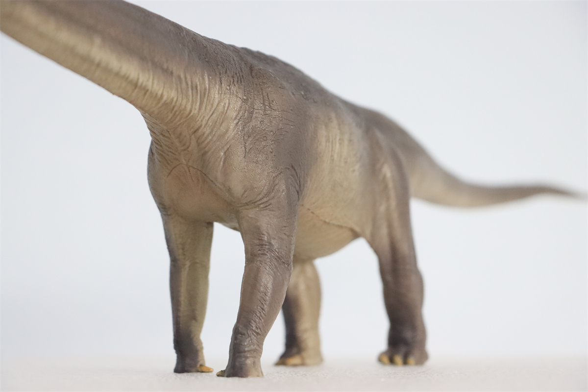 PNSO New ER-MA The Mamenchisaurus Dinosaur Museums Series 1:45 Scientific Art Models Collector Science Education Dinosaur Toys