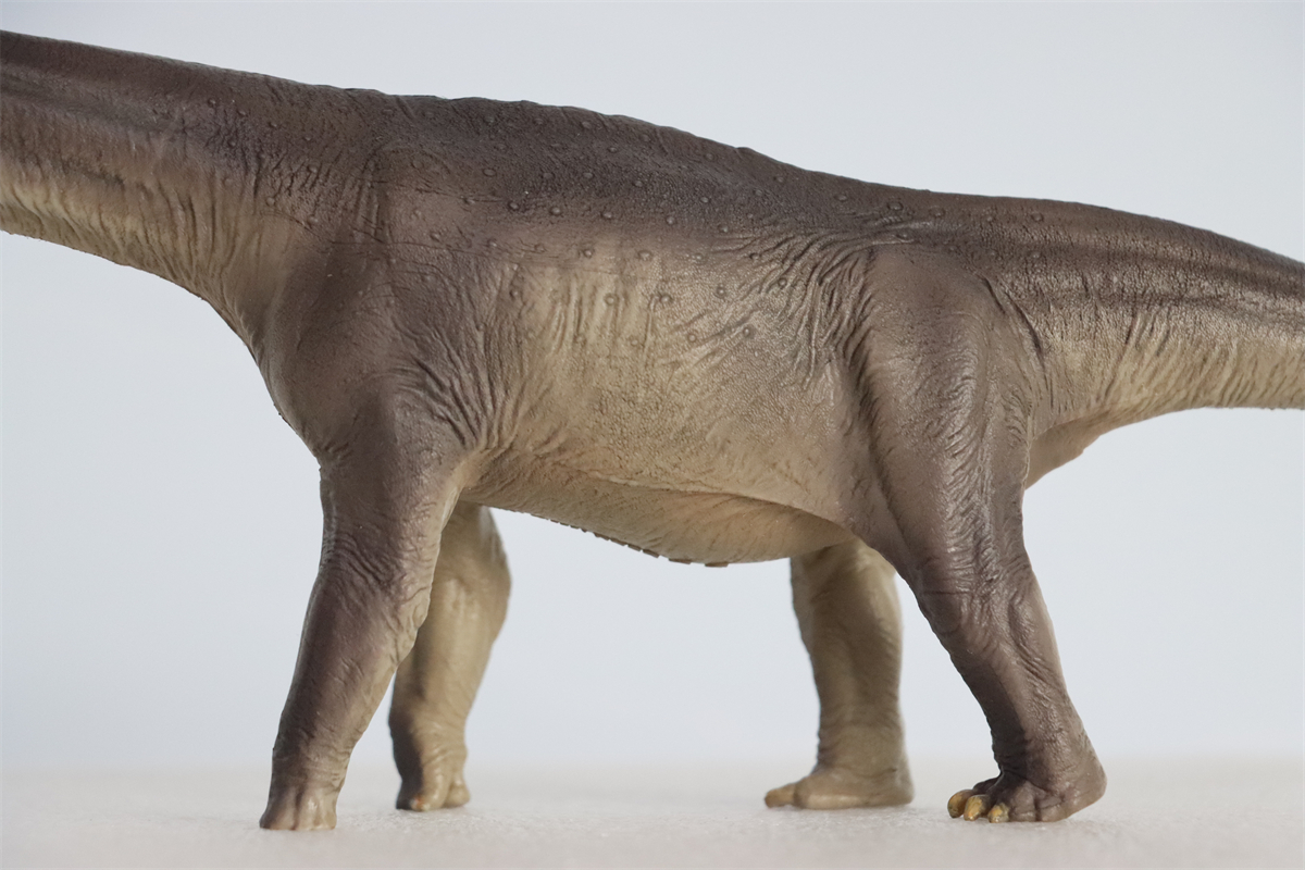 PNSO New ER-MA The Mamenchisaurus Dinosaur Museums Series 1:45 Scientific Art Models Collector Science Education Dinosaur Toys