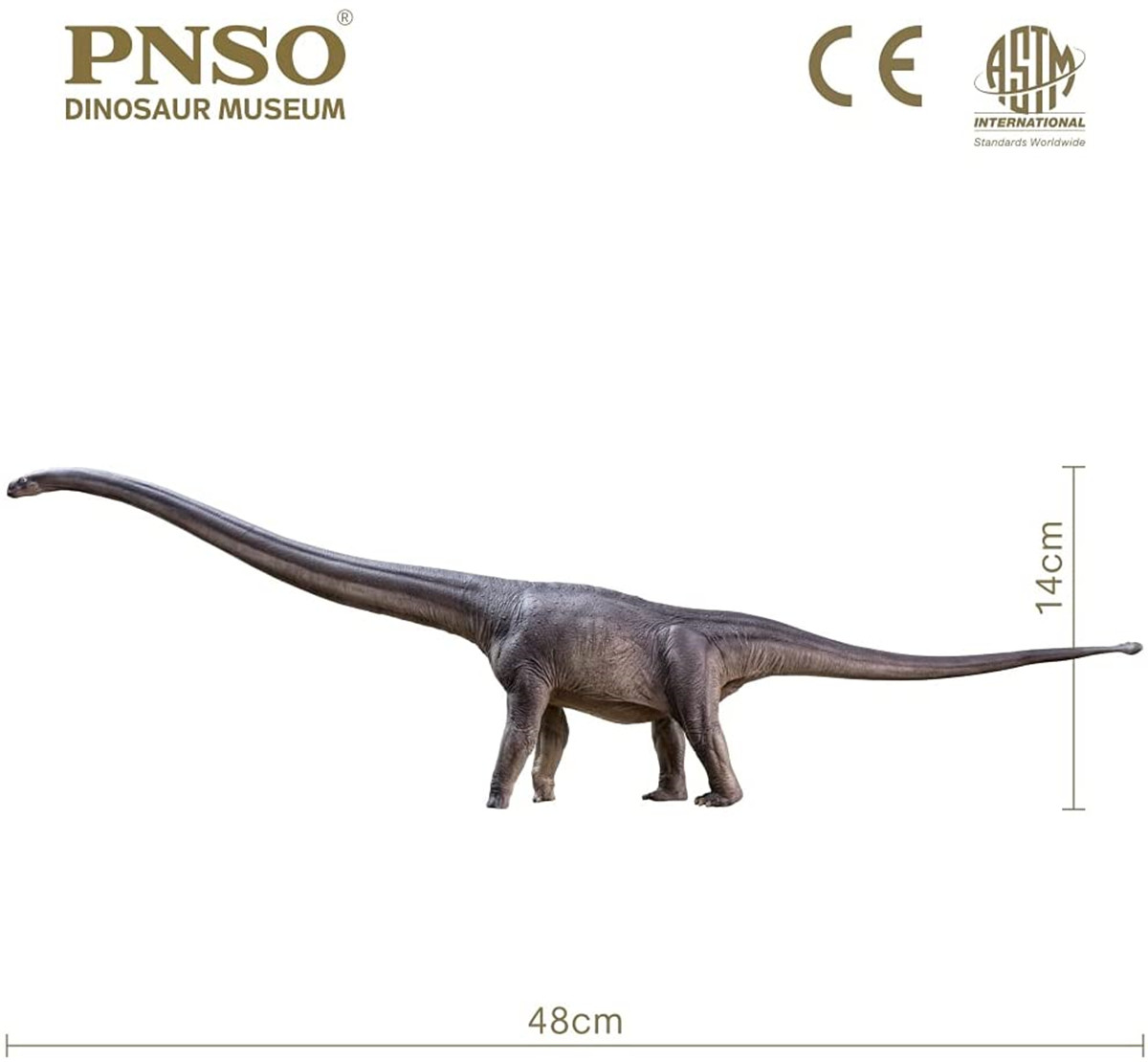 PNSO New ER-MA The Mamenchisaurus Dinosaur Museums Series 1:45 Scientific Art Models Collector Science Education Dinosaur Toys