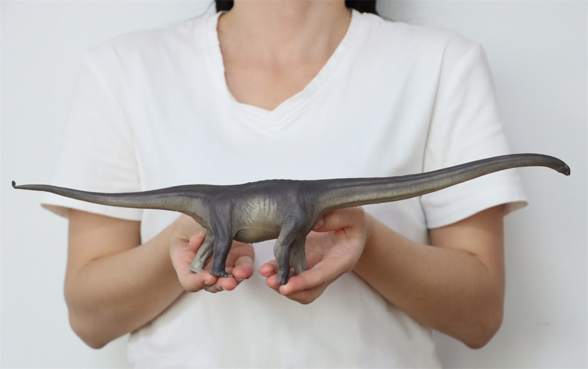 PNSO New ER-MA The Mamenchisaurus Dinosaur Museums Series 1:45 Scientific Art Models Collector Science Education Dinosaur Toys