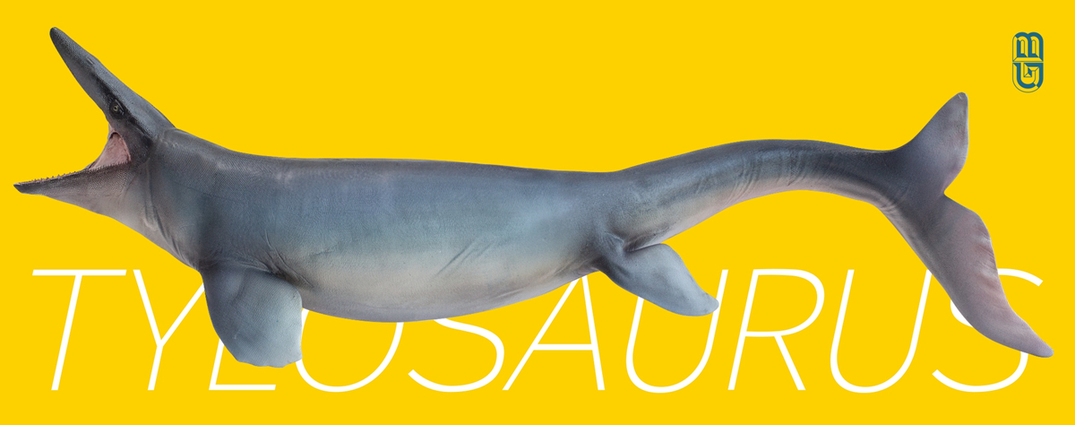 PNSO Prehistoric Dinosaur Model 57 Evan The Tylosaurus Model Collector Science Education Mosasauridae Animal Toys