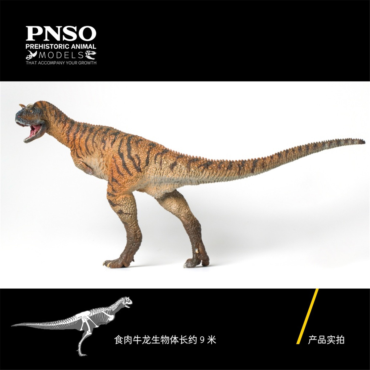 PNSO Carnotaurus Domingo Figure Ceratosauria Abelisauridae Dinosaur Model Collector Animal Adult Kid Toy Christmas Birthday Gift PNSO Carnotaurus Domingo Figure Ceratosauria Abelisauridae Dinosaur Model Collector Animal Adult Kid Toy Christmas Birthday Gift