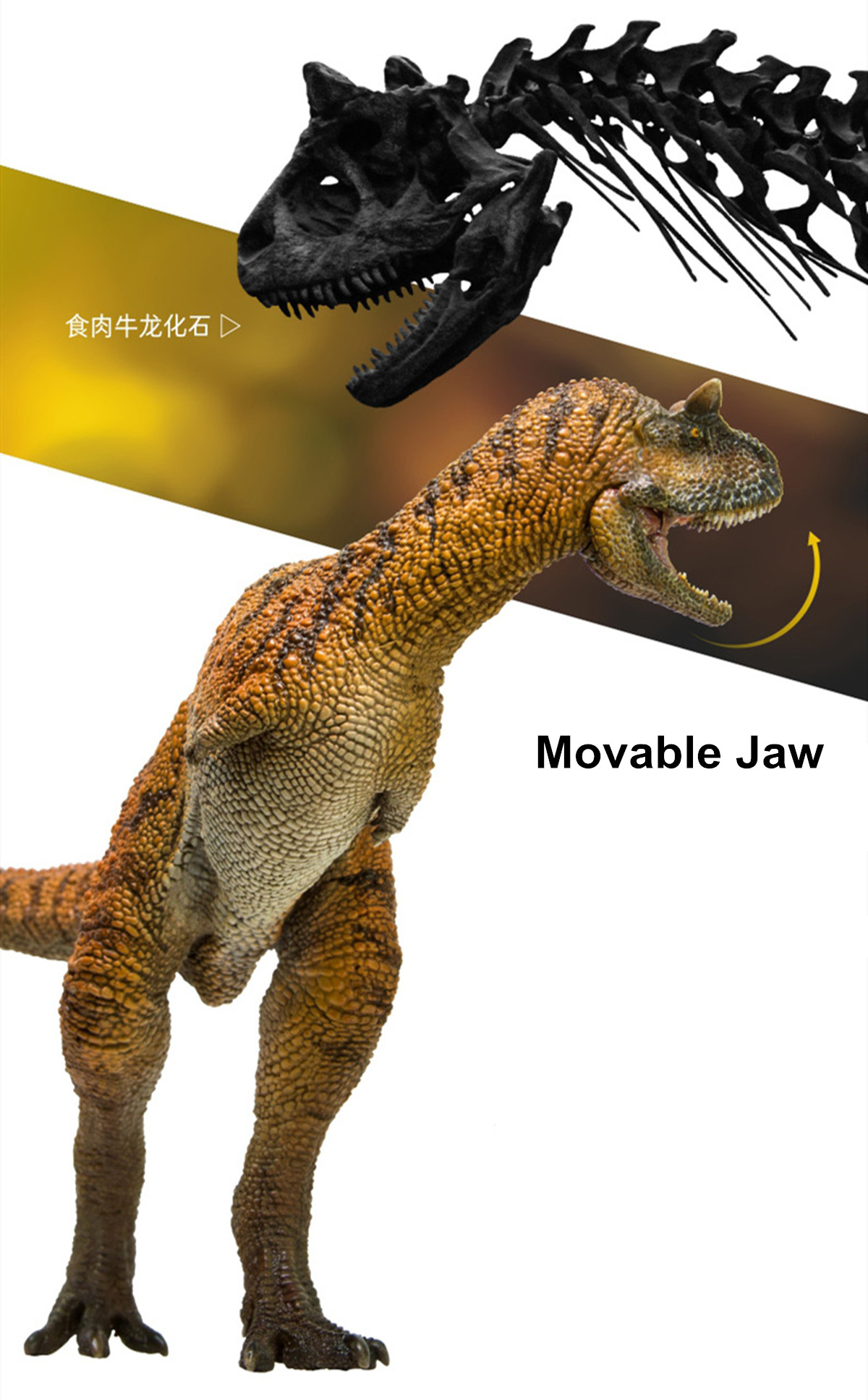 PNSO Carnotaurus Domingo Figure Ceratosauria Abelisauridae Dinosaur Model Collector Animal Adult Kid Toy Christmas Birthday Gift PNSO Carnotaurus Domingo Figure Ceratosauria Abelisauridae Dinosaur Model Collector Animal Adult Kid Toy Christmas Birthday Gift