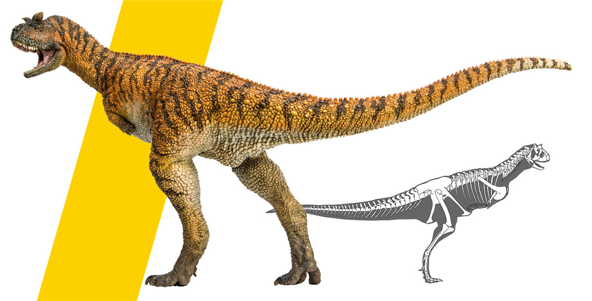 PNSO Carnotaurus Domingo Figure Ceratosauria Abelisauridae Dinosaur Model Collector Animal Adult Kid Toy Christmas Birthday Gift PNSO Carnotaurus Domingo Figure Ceratosauria Abelisauridae Dinosaur Model Collector Animal Adult Kid Toy Christmas Birthday Gift