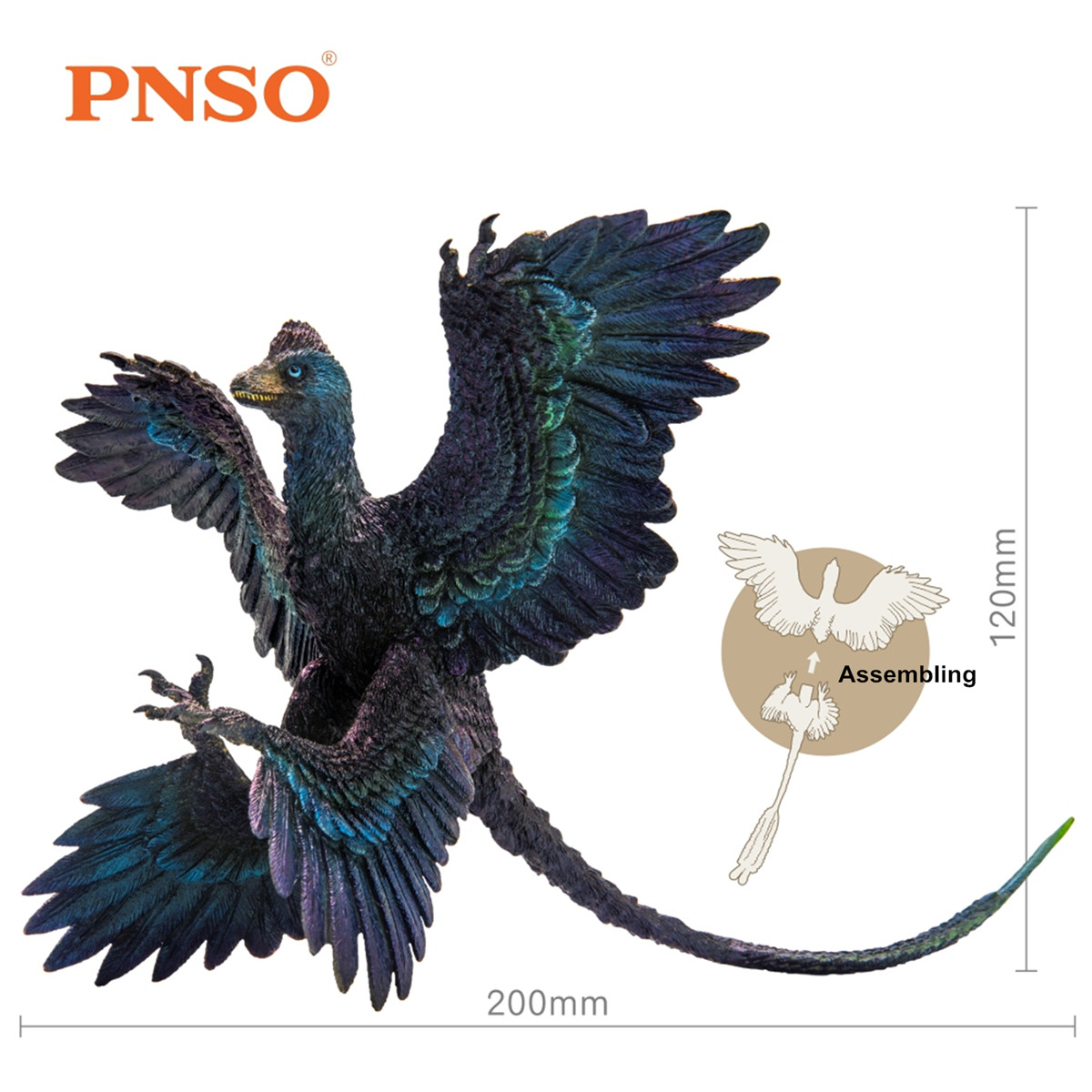 PNSO Microraptor Figure Dromaeosaurus Model Dinosaur Animal Collector Decor Gift Adult Kids Collection Science Toys Home Decor