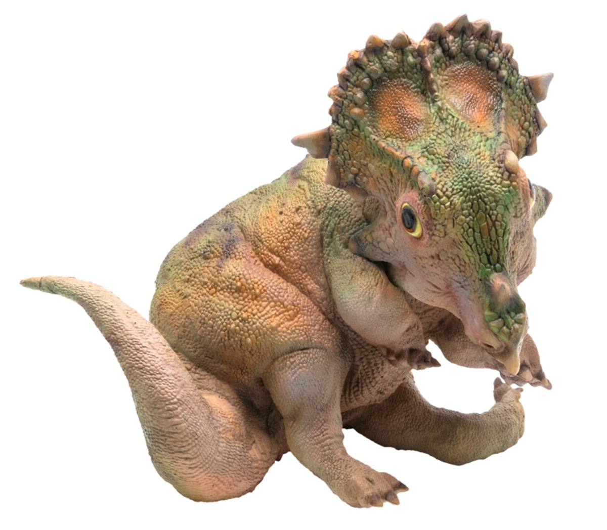 PNSO Young Sinoceratops Baby Figure Jurassic Realistic Ceratopsidae Dinosaur Model Animal Collection Gift for Kids Adults