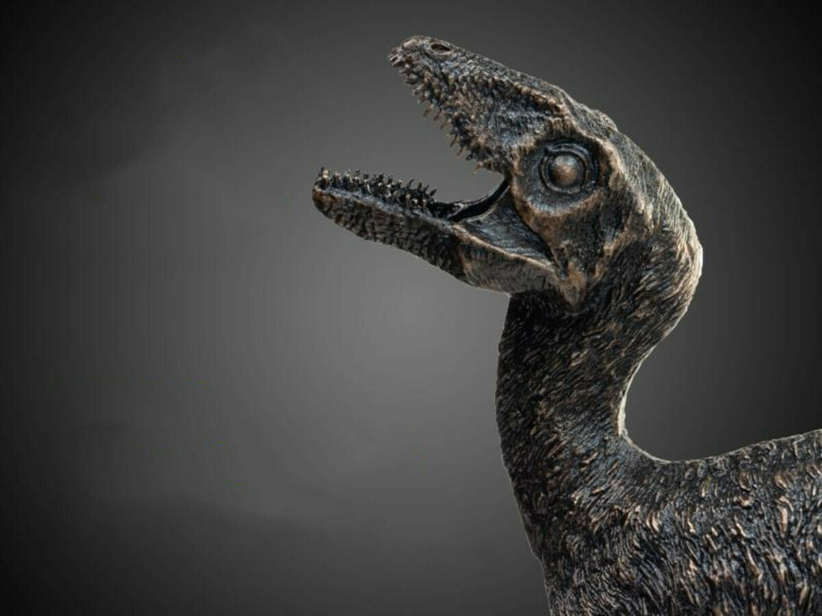 PNSO 1/3 Sinosauropteryx Yuyan Copper Statue Animal Dinosaur Collector Model Toy Decoration Adult Figure Gift Ornaments PNSO 1/3 Sinosauropteryx Yuyan Copper Statue Animal Dinosaur Collector Model Toy Decoration Adult Figure Gift Ornaments