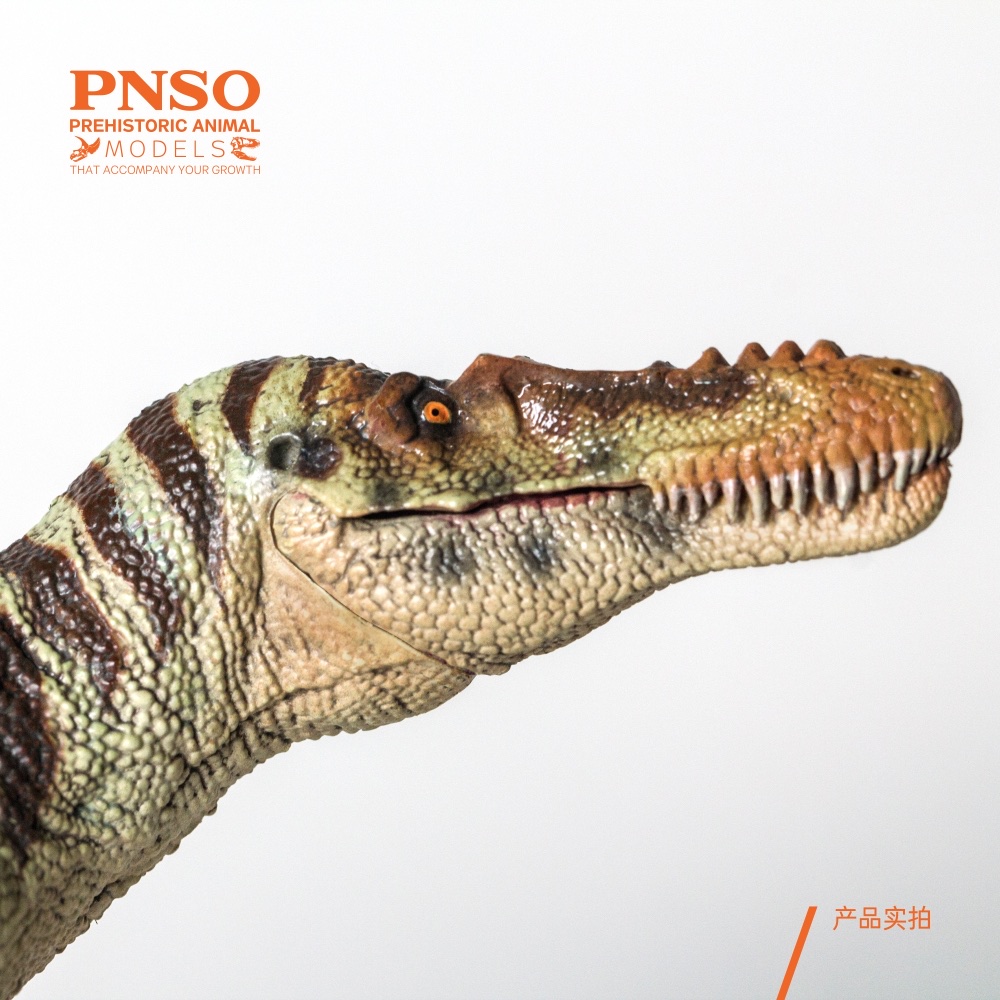 PNSO Qianzhousaurus Sinensis A-shu Figure Tyrannosauridae Dinosaur Collector T-Rex Animal Adult Kids Toy Christmas Birthday Gift
