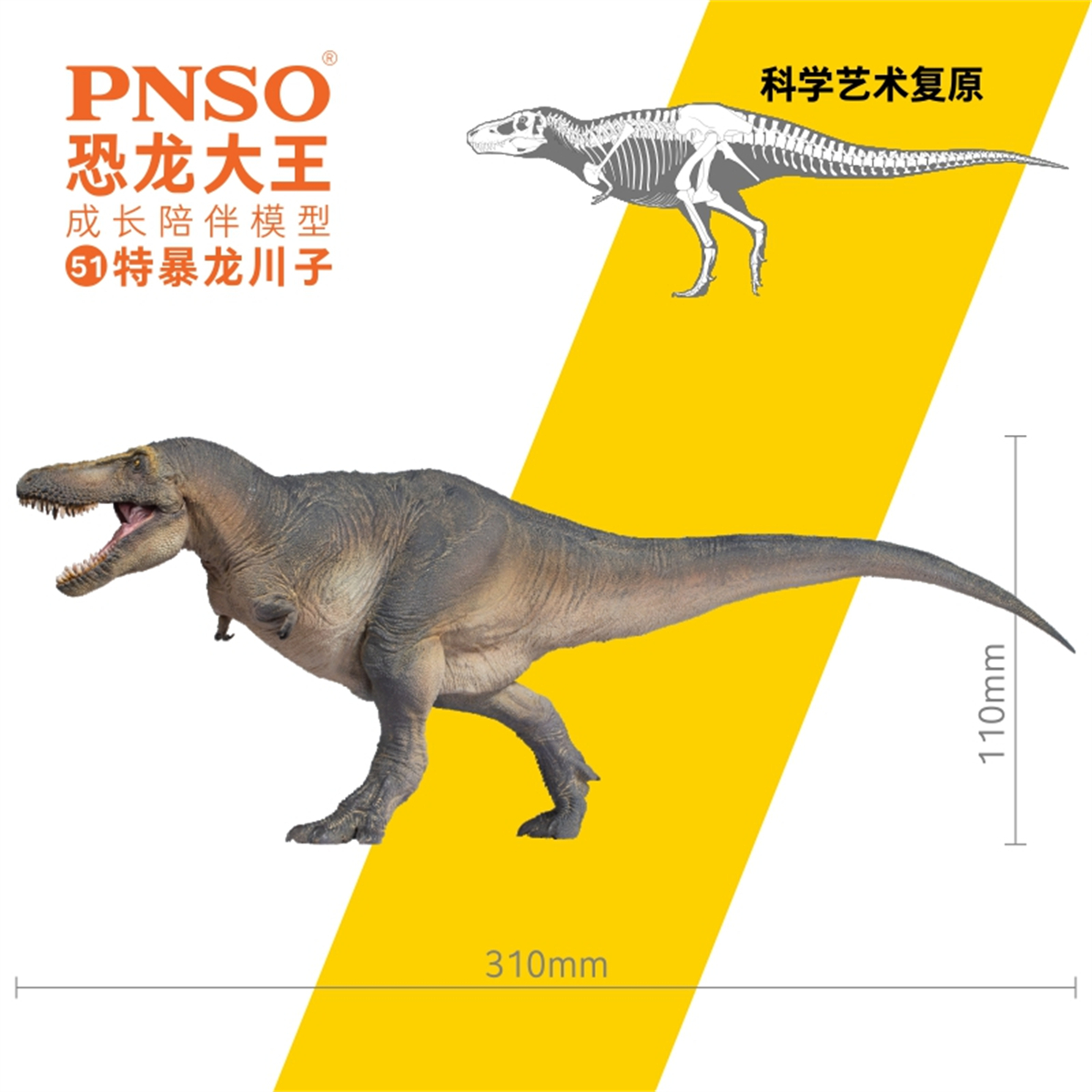 IN STOCK! PNSO Tarbosaurus Chuanzi Model Tyrannosauridae Dinosaur Tyrannosaurus Animal Collector Decoration Adult Toy Gift IN STOCK! PNSO Tarbosaurus Chuanzi Model Tyrannosauridae Dinosaur Tyrannosaurus Animal Collector Decoration Adult Toy Gift