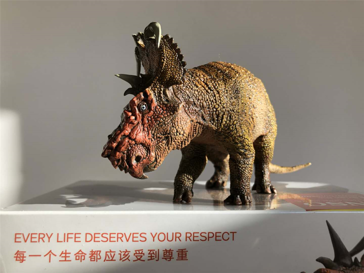 PNSO Pachyrhinosaurus Figure Ceratopsidae Dinosaur Model Collector Animal Adult Kids Triceratops Toy Christmas Birthday Gift PNSO Pachyrhinosaurus Figure Ceratopsidae Dinosaur Model Collector Animal Adult Kids Triceratops Toy Christmas Birthday Gift