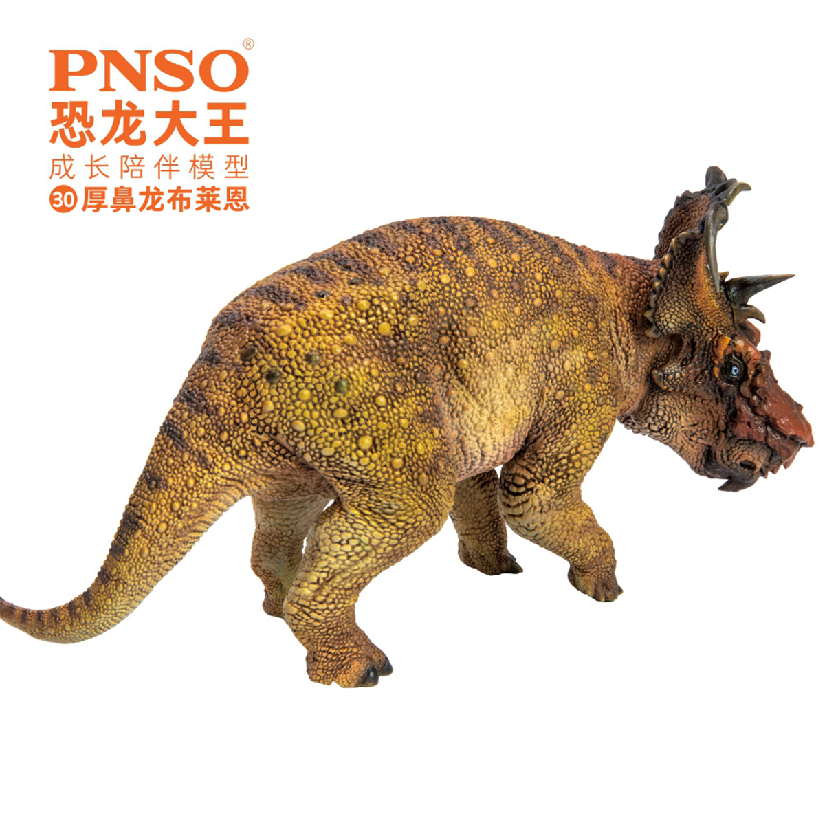PNSO Pachyrhinosaurus Figure Ceratopsidae Dinosaur Model Collector Animal Adult Kids Triceratops Toy Christmas Birthday Gift PNSO Pachyrhinosaurus Figure Ceratopsidae Dinosaur Model Collector Animal Adult Kids Triceratops Toy Christmas Birthday Gift