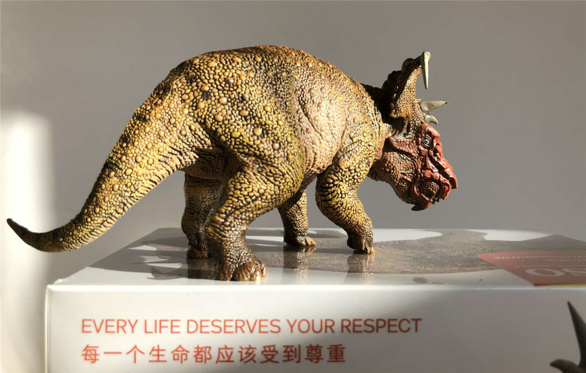 PNSO Pachyrhinosaurus Figure Ceratopsidae Dinosaur Model Collector Animal Adult Kids Triceratops Toy Christmas Birthday Gift PNSO Pachyrhinosaurus Figure Ceratopsidae Dinosaur Model Collector Animal Adult Kids Triceratops Toy Christmas Birthday Gift