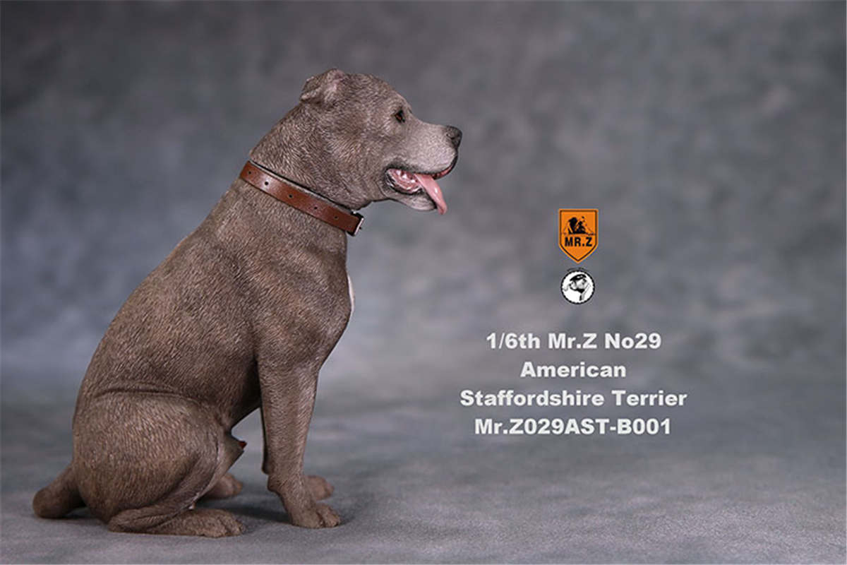 Mr.Z Studio 1:6 American Staffordshire Terrier Dog Pet Healing Figure Canidae Animal Model Toy Collector Desktop Decor Adult Mr.Z Studio 1:6 American Staffordshire Terrier Dog Pet Healing Figure Canidae Animal Model Toy Collector Desktop Decor Adult